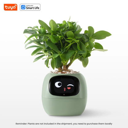 PlantPal Pot